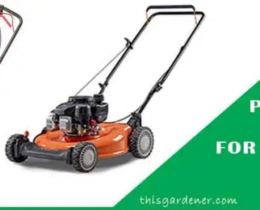 Best Petrol Lawn Mowers For Large Gardens review image
