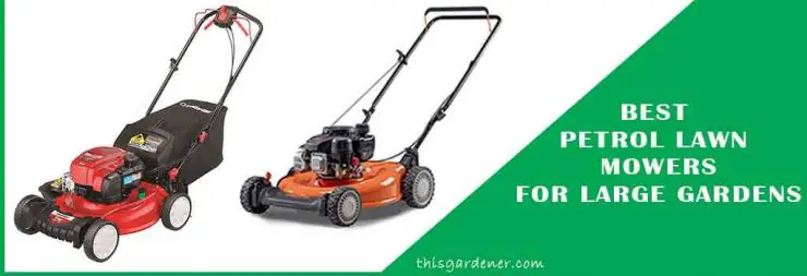 Best Petrol Lawn Mowers For Large Gardens review image