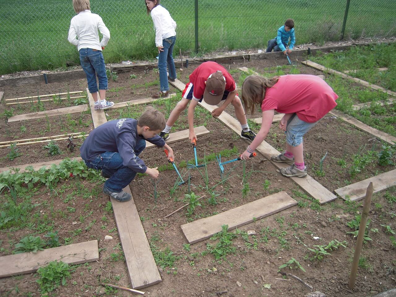 benefits of gardening for students