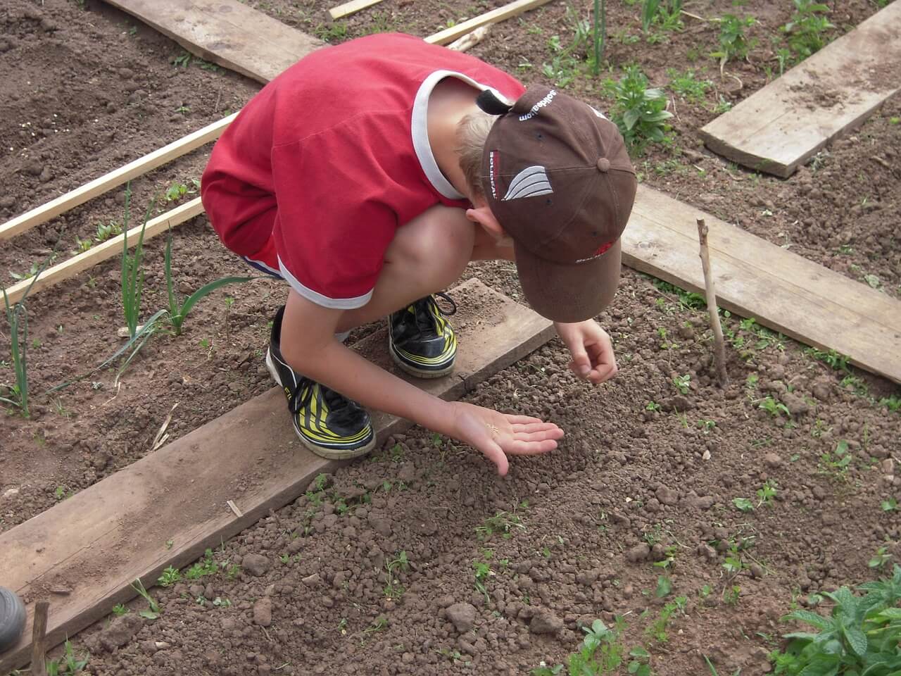 benefits-of-school-gardening-for-students