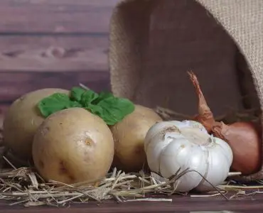 How to Make Your Own Potato Grow Bag (1) image
