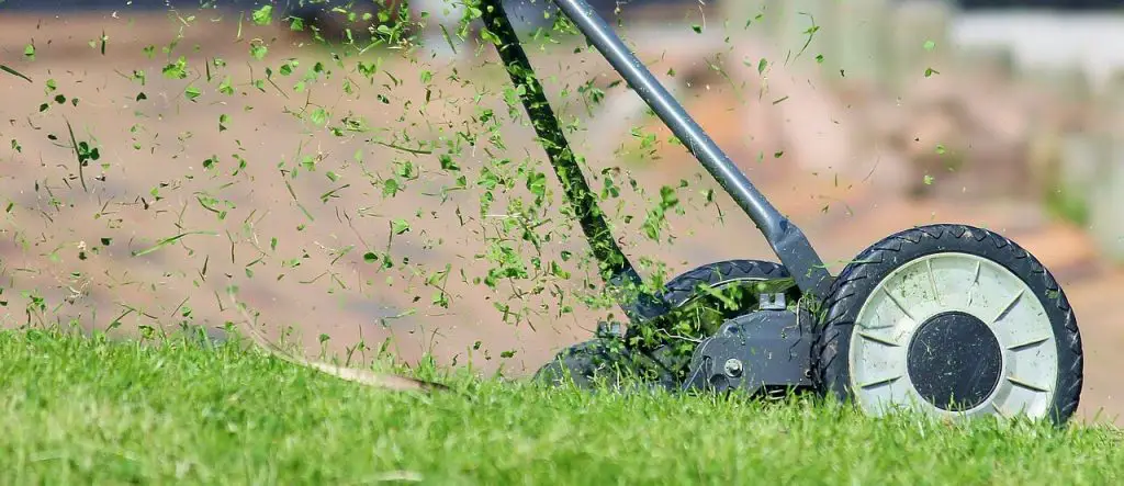 what-to-do-with-grass-clippings-after-mowing