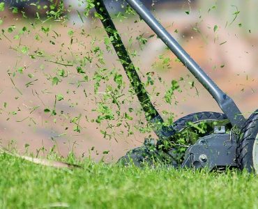 What to Do With Grass Clippings After Mowing image