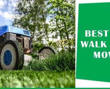 Best Large Walk Behind Mower Review image