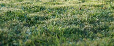 How to collect grass clippings after mowing image