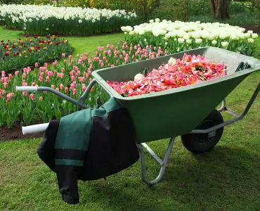 Best Wheelbarrow For gardening
