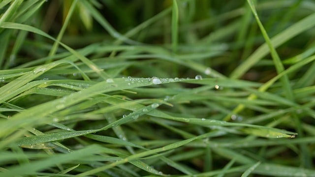 How To Control Humidity In Grow Tent image