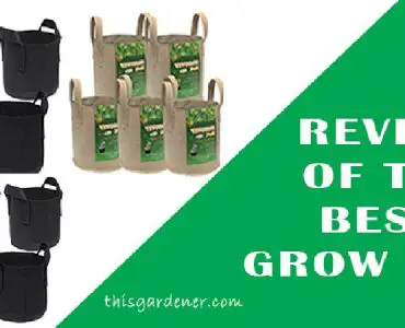Best Grow Bags for tomatoes review image