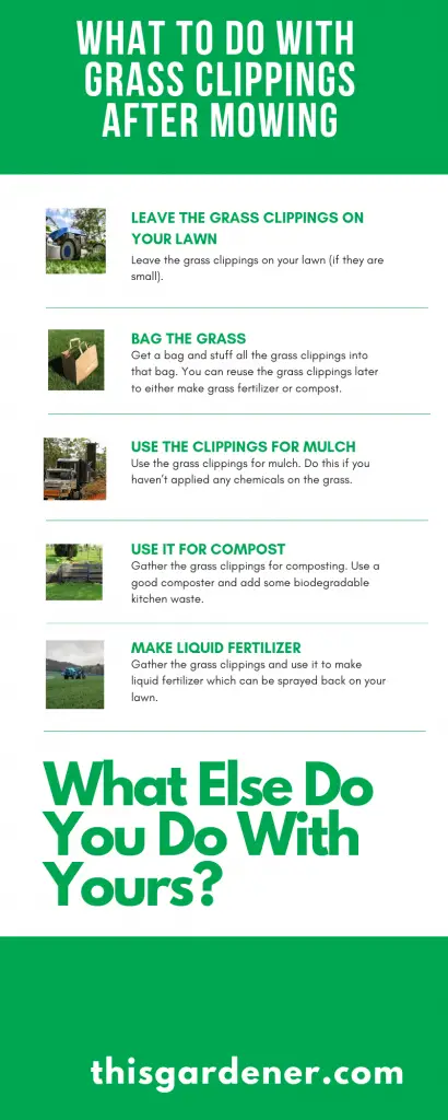What to Do With Grass Clippings After Mowing image