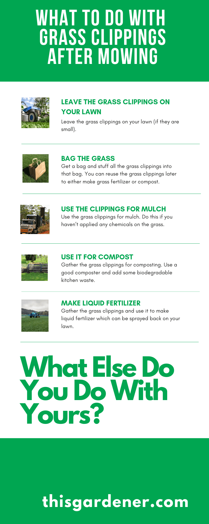 What To Do With Grass Clippings After Mowing