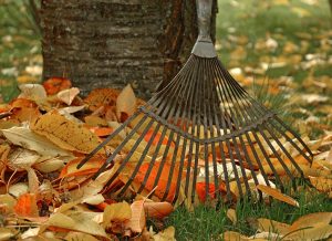 best rake for grass image 3