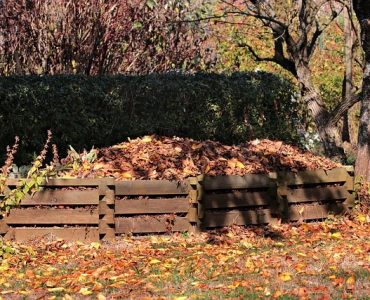 Is leaf compost good for vegetable garden image