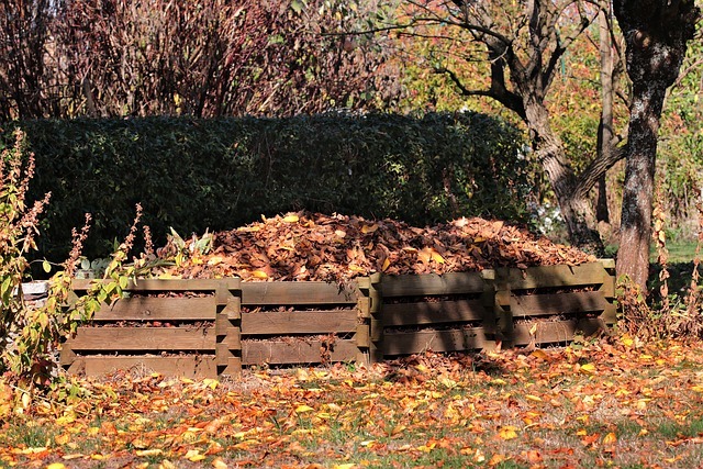 Is leaf compost good for vegetable garden image