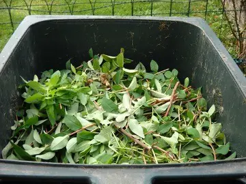 Is leaf compost good for vegetable garden img