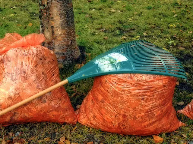 How To Rake Leaves Into A Bag