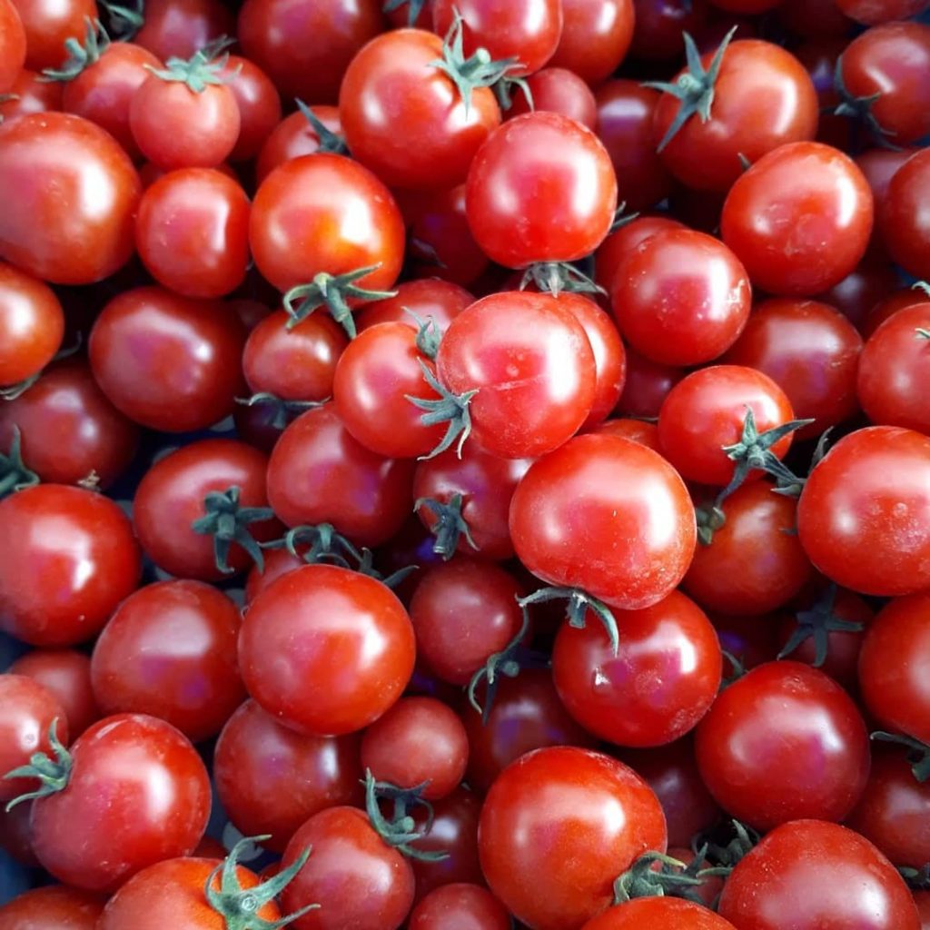 fertilizing tomatoes with epsom salts 2