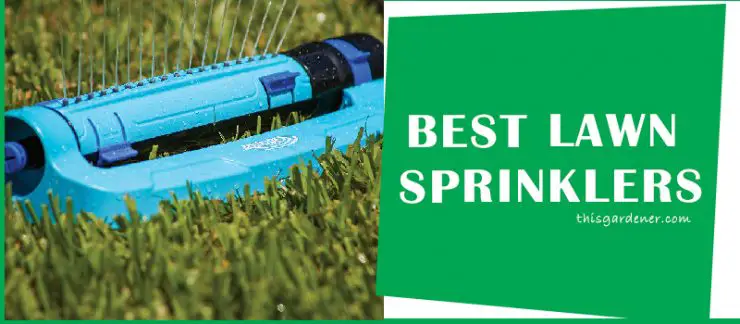Best Sprinkler For A Large Yard image 1 main