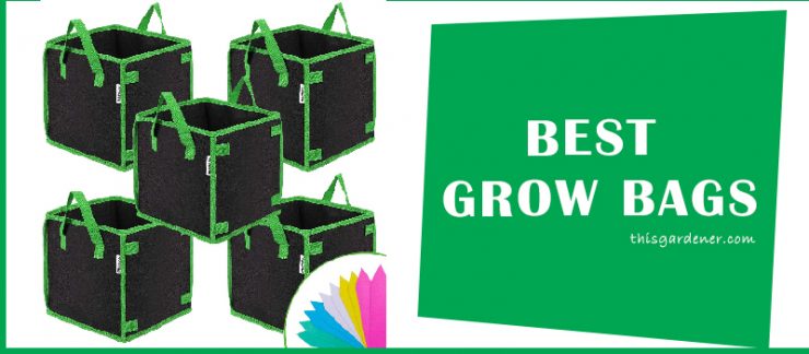 best grow bags for vegetables image