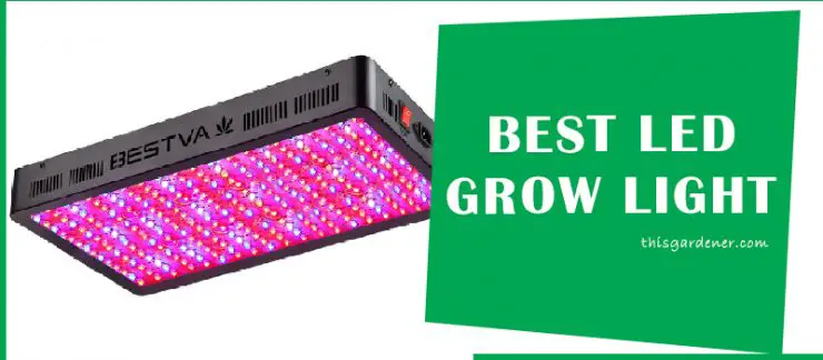 best led grow light for lettuce image 1 main