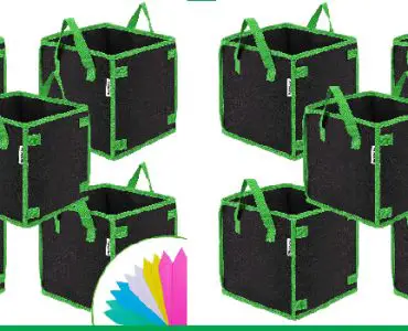 pros and cons of grow bags image 1