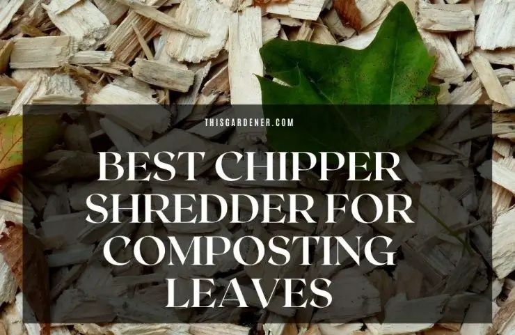 best chipper shredder for composting leaves image 1