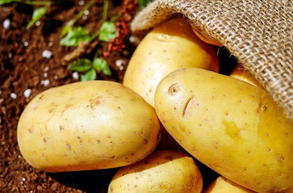 Can Potatoes Be Grown Hydroponically image main