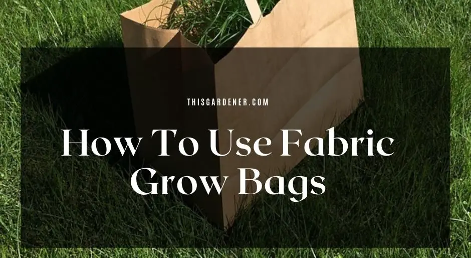 How To Use Fabric Grow Bags