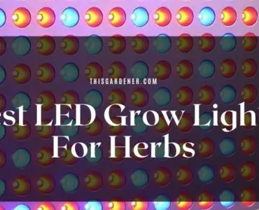 Best LED Grow Lights For Herbs image