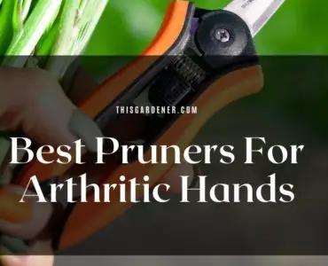 Best Pruners For Arthritic Hands image 1