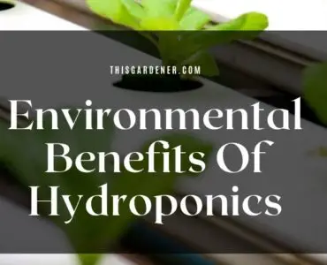 Environmental Benefits Of Hydroponics image