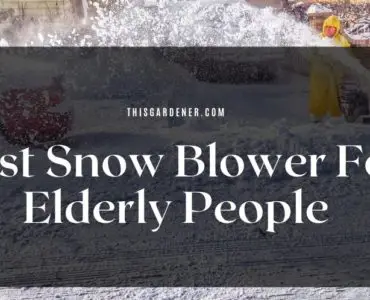 best snow blower for elderly people main 1