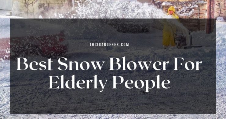 best snow blower for elderly people main 1