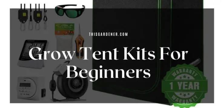 cheap grow tent kits for beginners