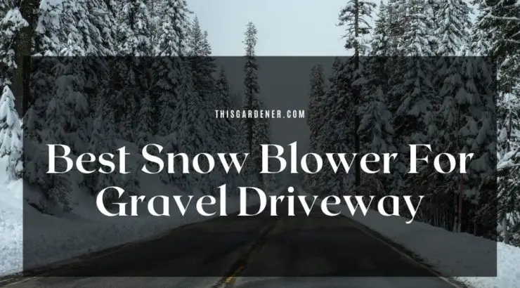 Best Snow Blower For Gravel Driveway