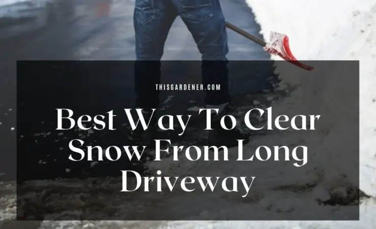 Best Way To Clear Snow From Long Driveway image
