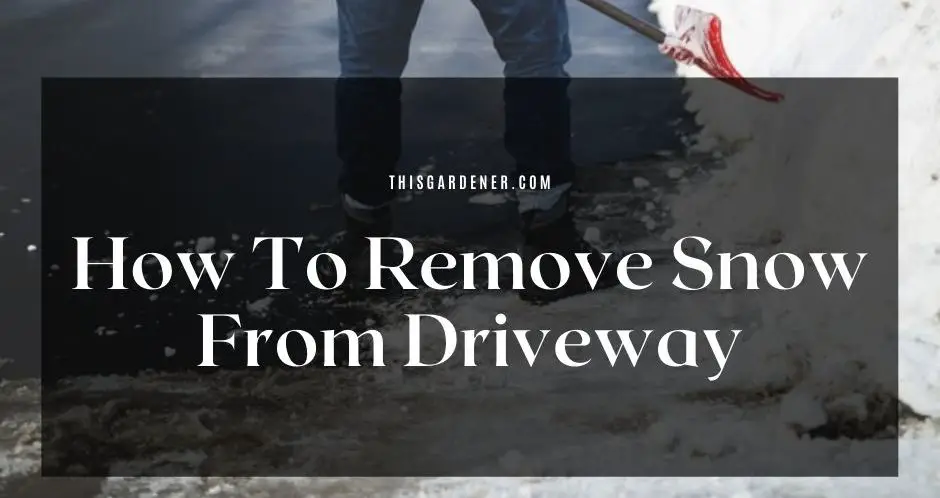 How To Remove Snow From Driveway Without A Shovel | This Gardener - How To Remove Snow From Driveway Without A Shovel