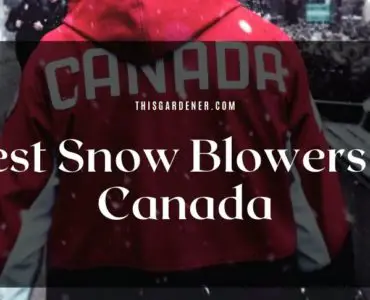 Best Snow Blowers In Canada image