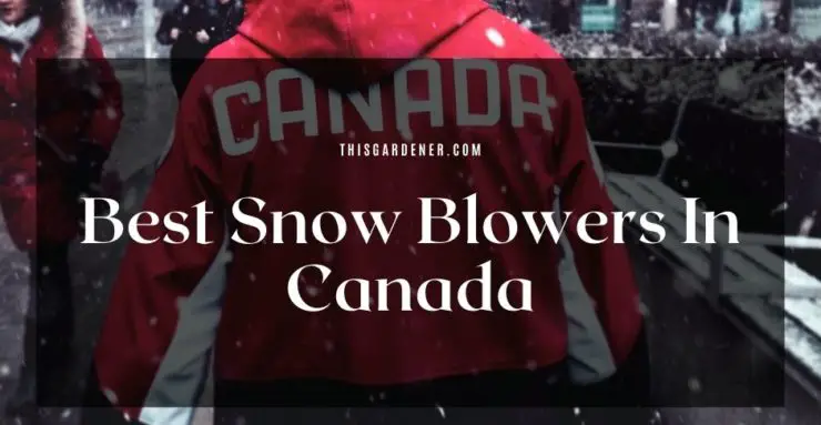 Best Snow Blowers In Canada image