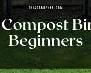 best compost bin for beginners image