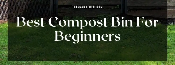 best compost bin for beginners image