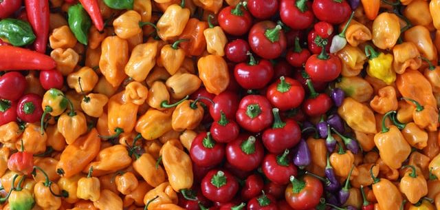 best fertilizer for peppers and tomatoes image