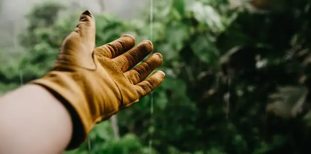 best-gardening-gloves-for-thorns
