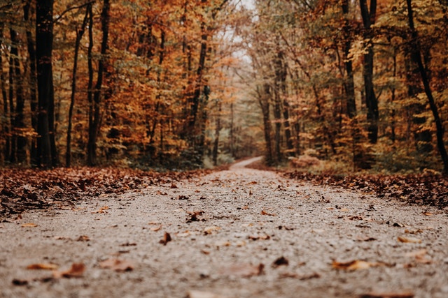 How to Remove Leaves From Gravel