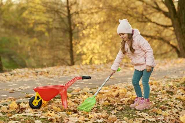 how to remove leaves from gravel driveway