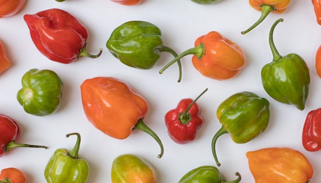 Are Habanero Peppers Hard to Grow?