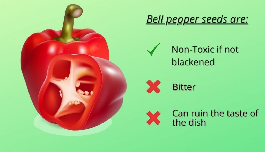 Bell Pepper Seeds
