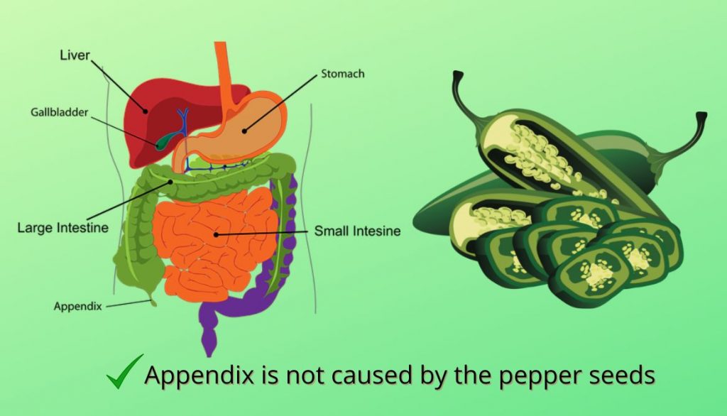 Can Pepper Seeds Cause Appendicitis?