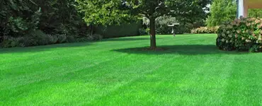 What Type of Sand for Lawns is the Best