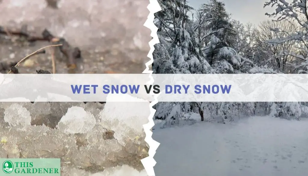 Difference between Wet Snow and Dry Snow