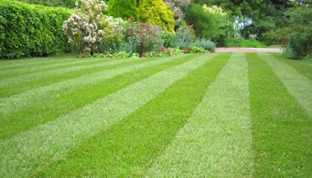 How To Stripe Lawn Without Roller